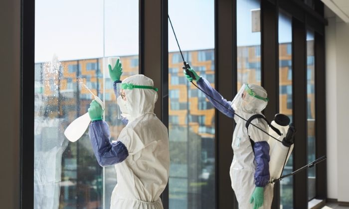 How Newmarket property owners can plan moisture cleanup